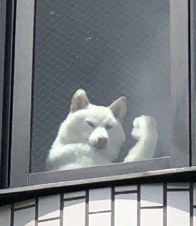 元気をください