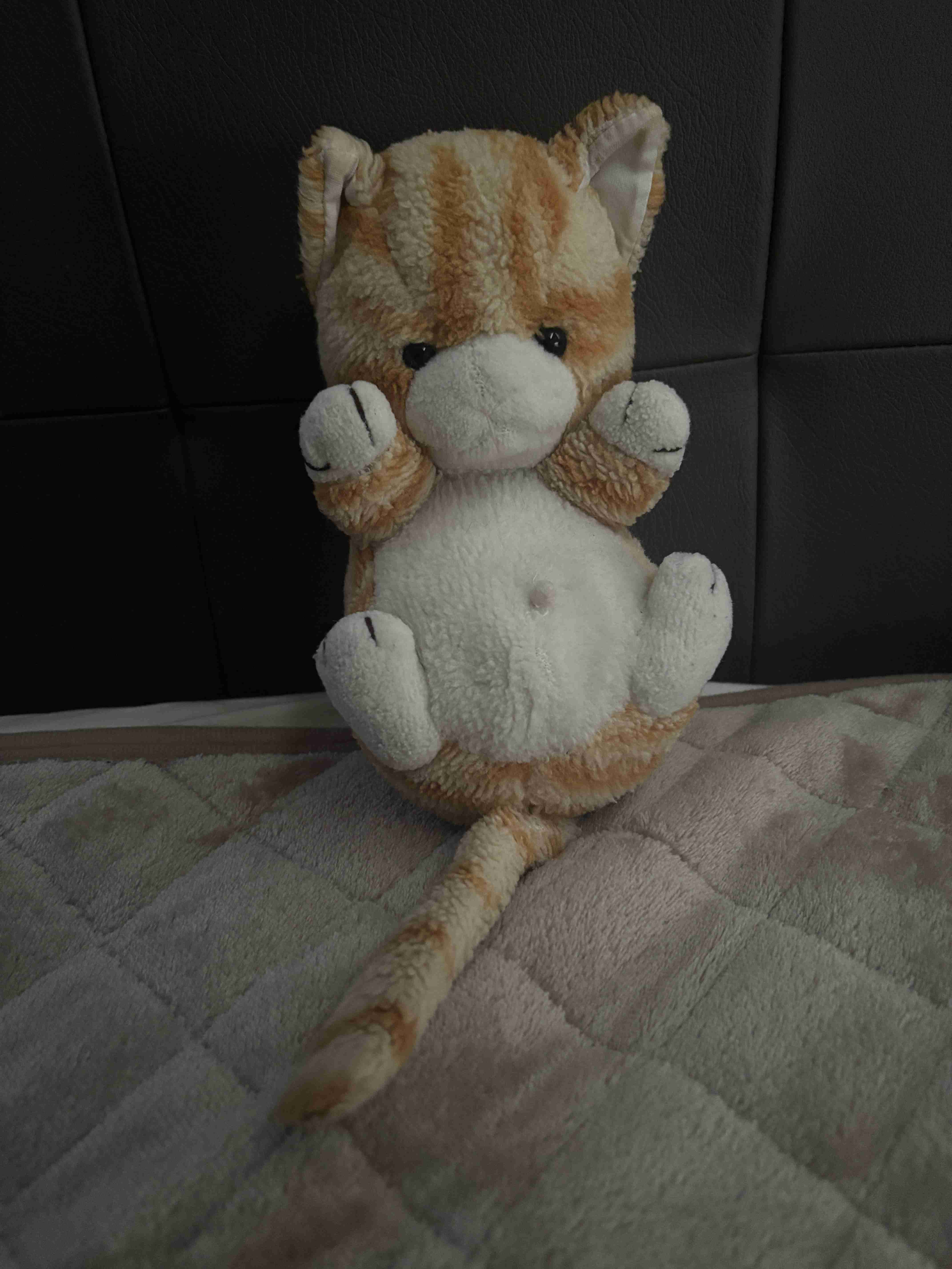 意外と長持ちしているもの