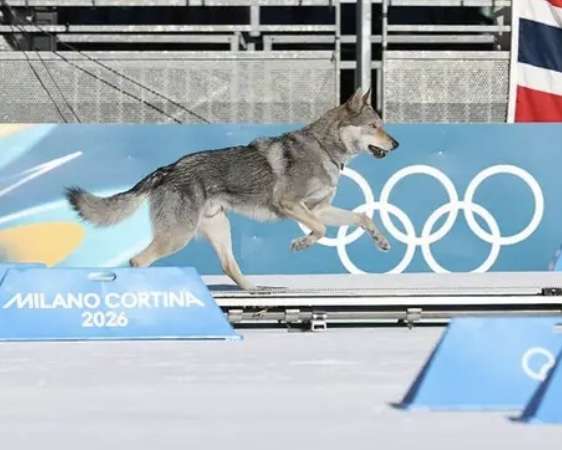 【実況・感想】ミラノ・コルティナ五輪 2月18日・19日