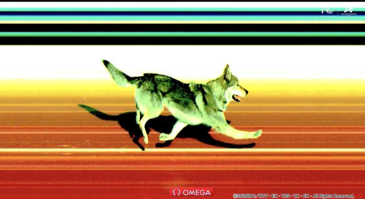 【実況・感想】ミラノ・コルティナ五輪 2月18日・19日