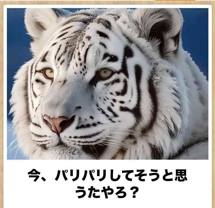 【くだらない事だけど】寝る前にこれだけは言っておこう。part2