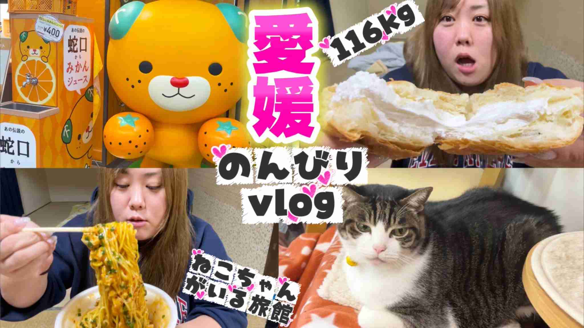 酸っぱいみかんの活用法