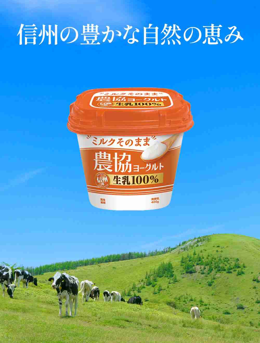 【市販】よく買う乳製品