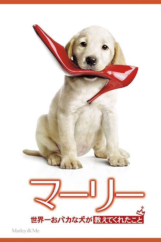 ボブにした途端モテなくなった