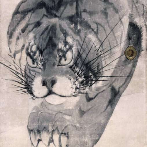 がるちゃん猫カフェ118号店開店しました♪(初めての方も大歓迎♪)