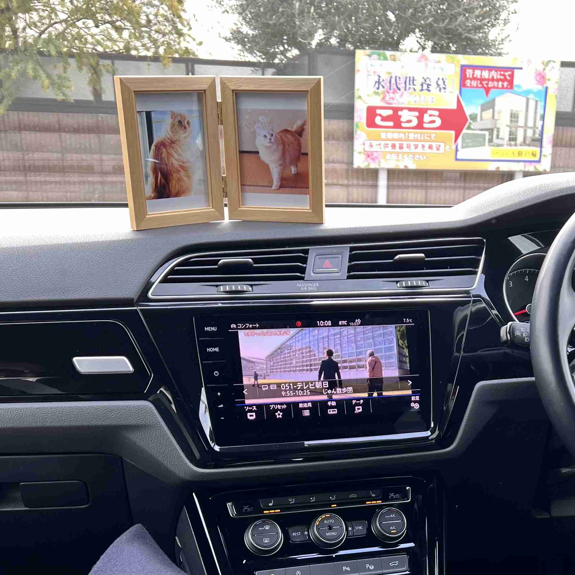 がるちゃん猫カフェ118号店開店しました♪(初めての方も大歓迎♪)