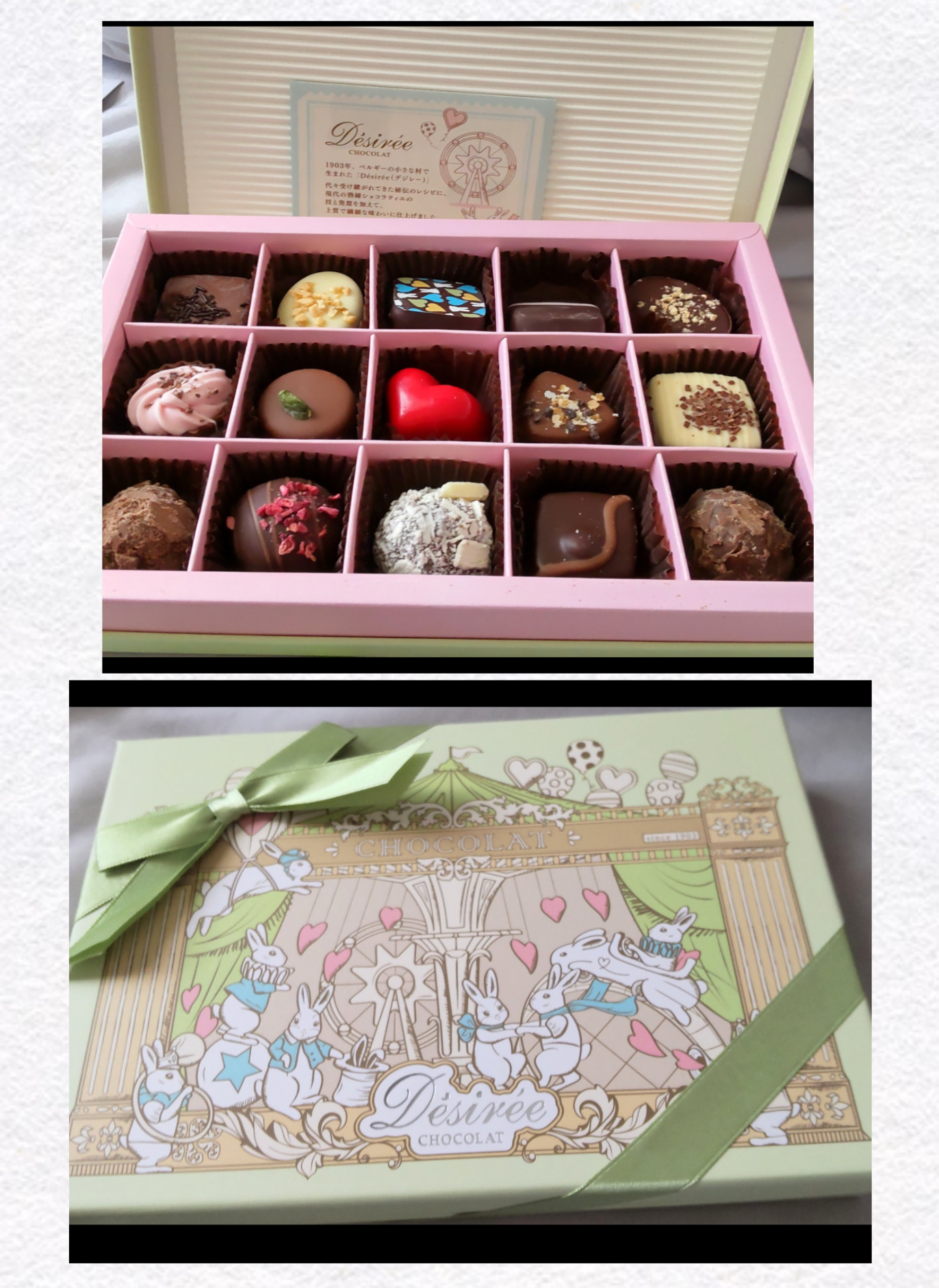 ガチ勢のチョコ食味報告会