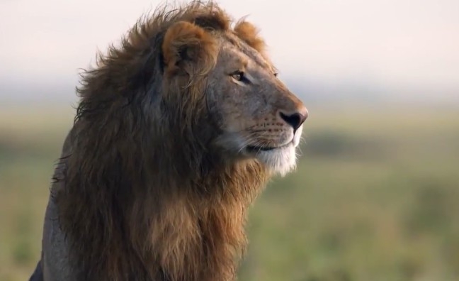 オスの方が美しいと思う動物を挙げていくトピ