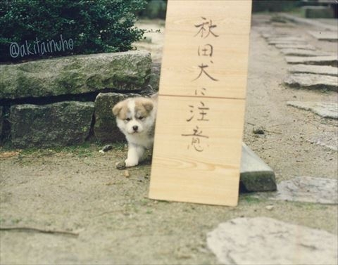 厄除け、魔除けPart 3