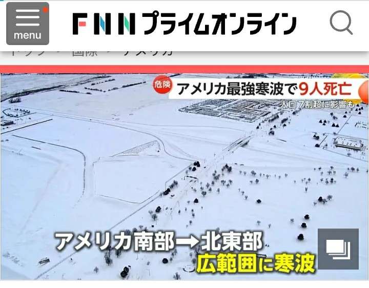 寒波の米「イグアナが降る」現象 「凍って」落ちたイグアナの回収呼びかけ フロリダ州