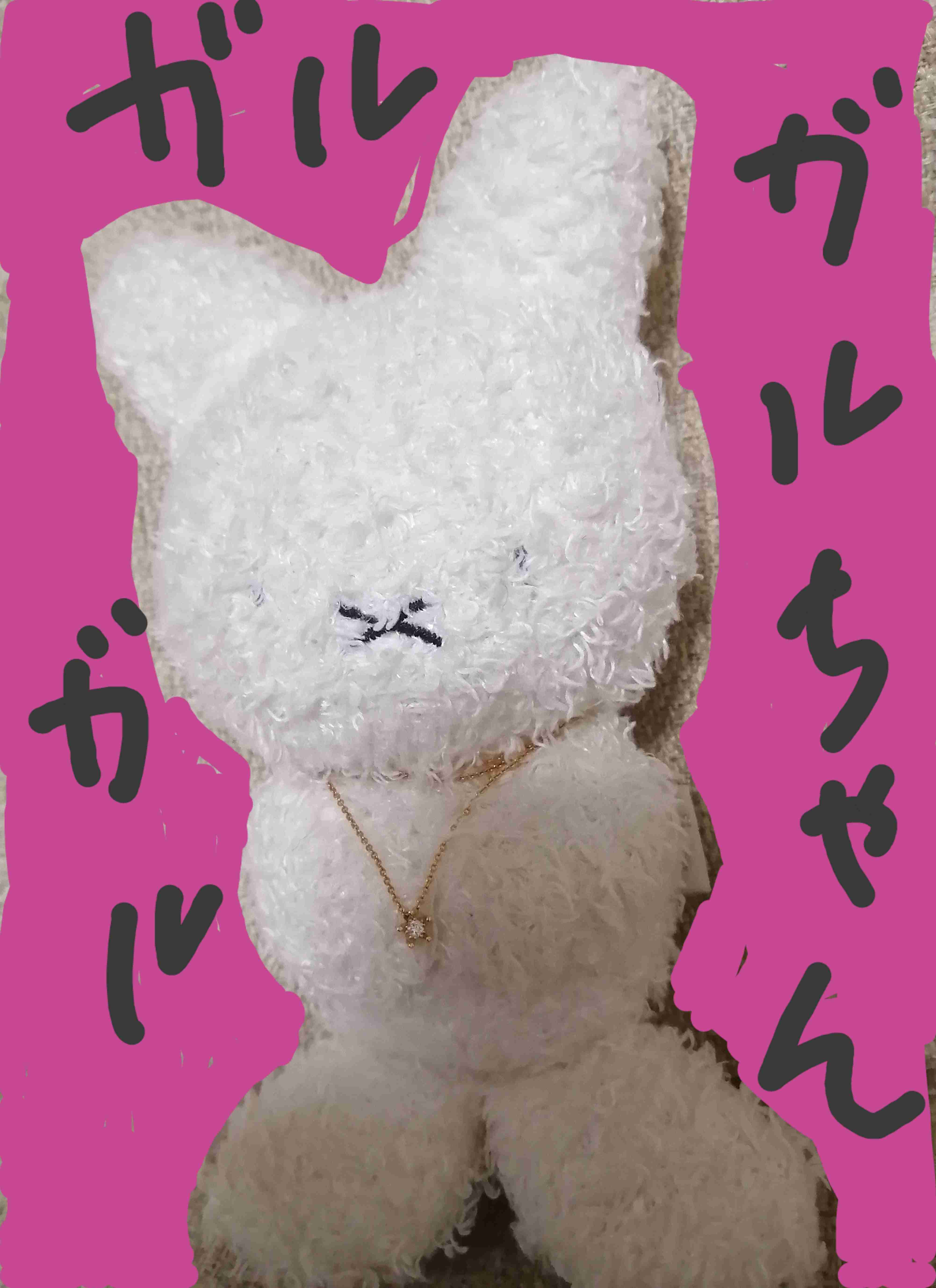 数万円のジュエリーを愛用している人〜Part41【2026年2月】
