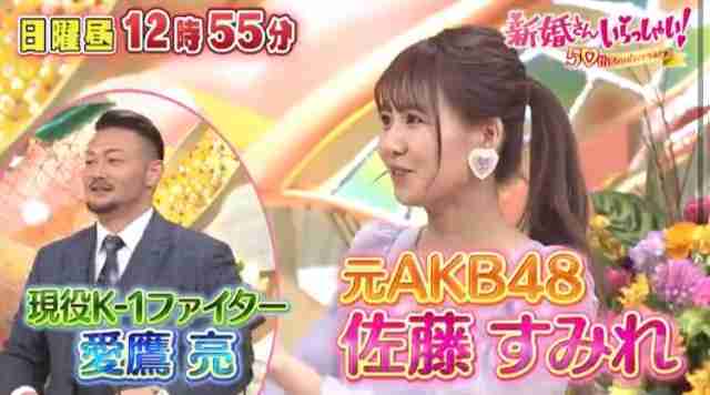 元AKB48・佐藤すみれ(32)が芸能界復帰、引退から9年…現在は2児の母、ネットは「おかえりなさい」