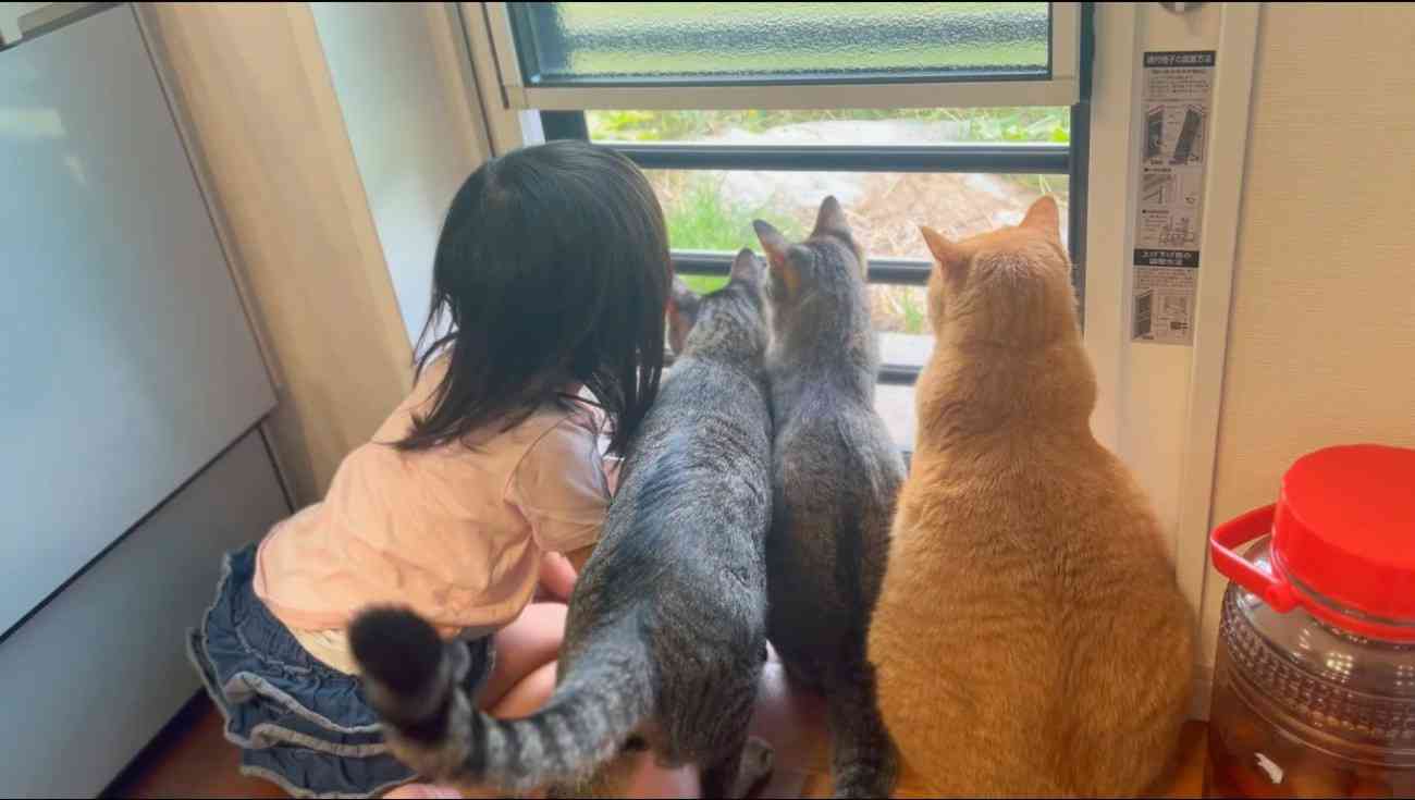 スマホの中のいらない画像を供養するトピ