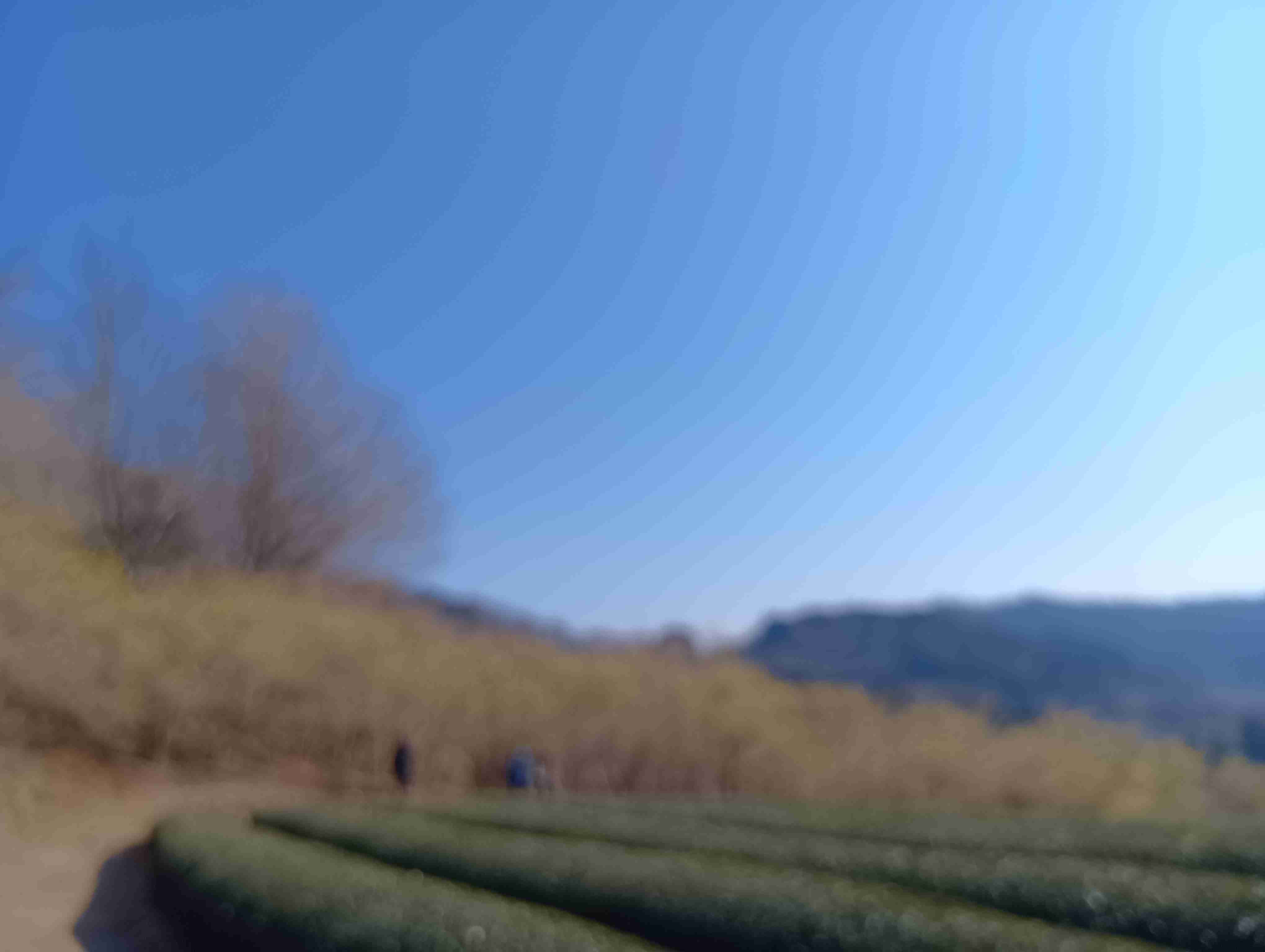 スマホの中のいらない画像を供養するトピ