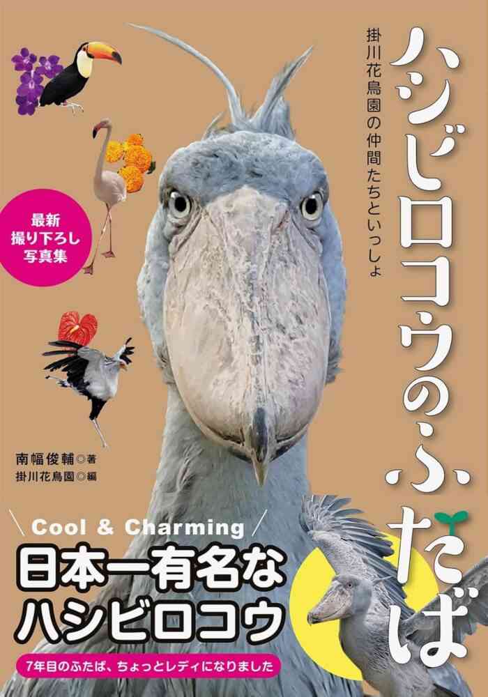 可愛い鳥をあげるトピ