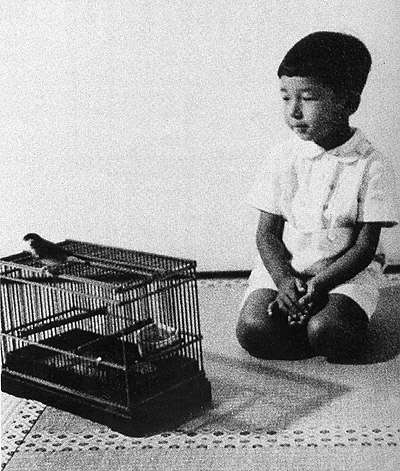 可愛い鳥をあげるトピ