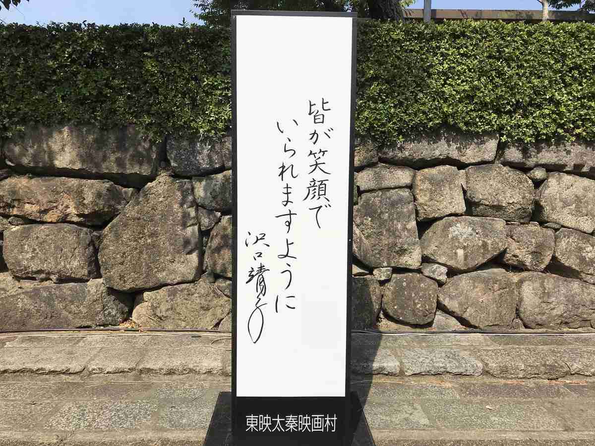 字が綺麗な芸能人