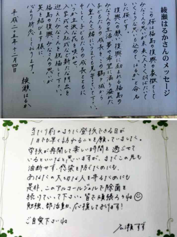 字が綺麗な芸能人