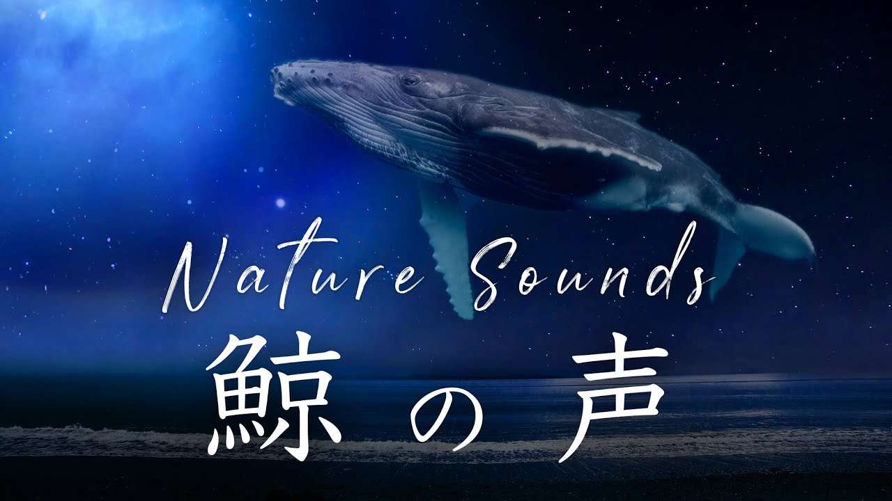 心を落ち着かせたい時やリラックスしたい時に聴く曲