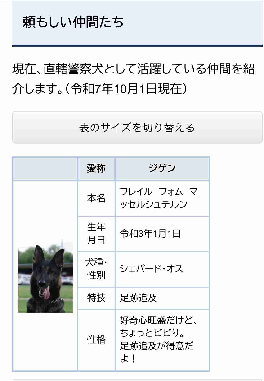 “スゴ鼻”警察犬ジゲン号 1年ぶり2度目のお手柄！ 雨雲迫る山で行方不明者を発見　今回もジャーキー1kgもらう