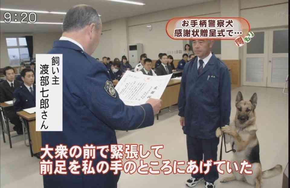 “スゴ鼻”警察犬ジゲン号 1年ぶり2度目のお手柄！ 雨雲迫る山で行方不明者を発見　今回もジャーキー1kgもらう
