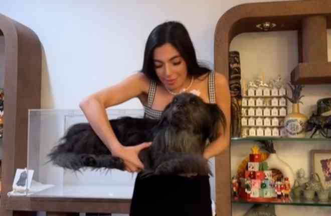 死んだ愛犬をフリーズドライにした米有名インフルエンサー「安堵感を覚えた」