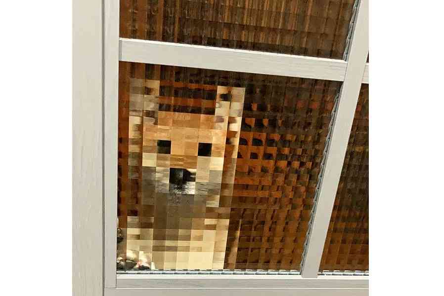 お風呂のついでにしてる事