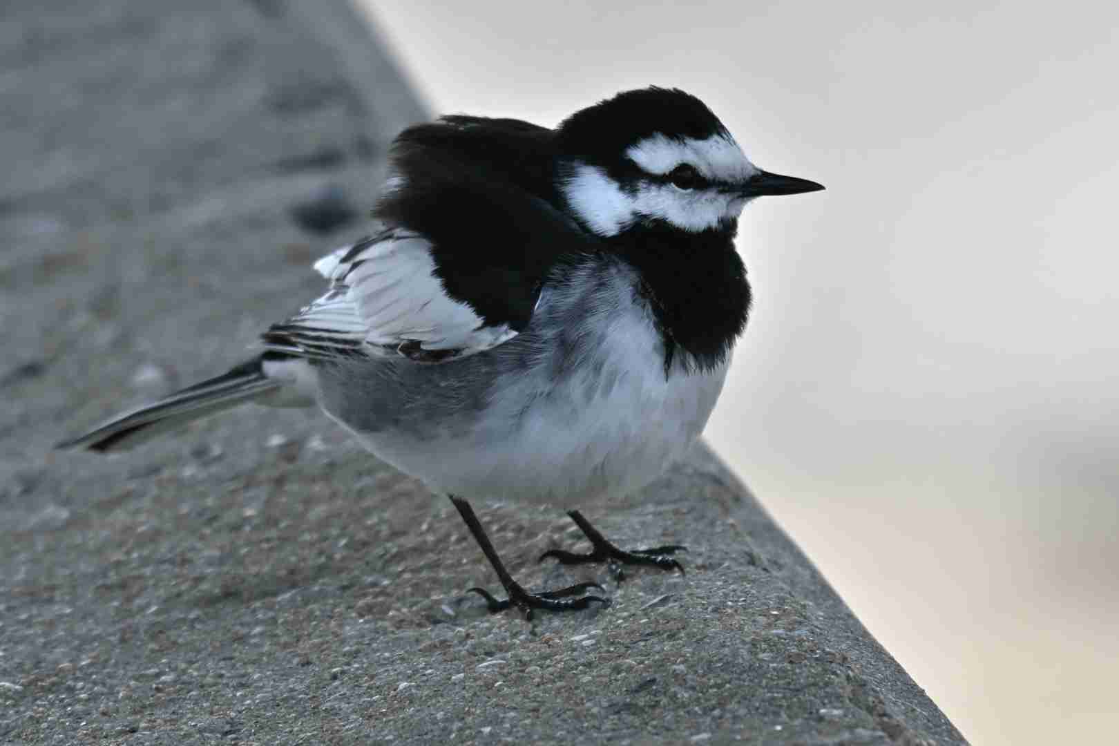 可愛い写真撮ったよ～