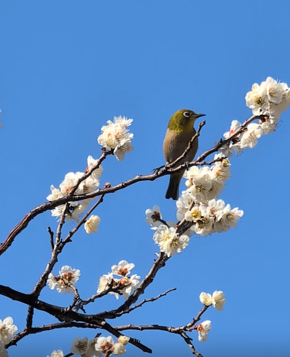 可愛い写真撮ったよ～