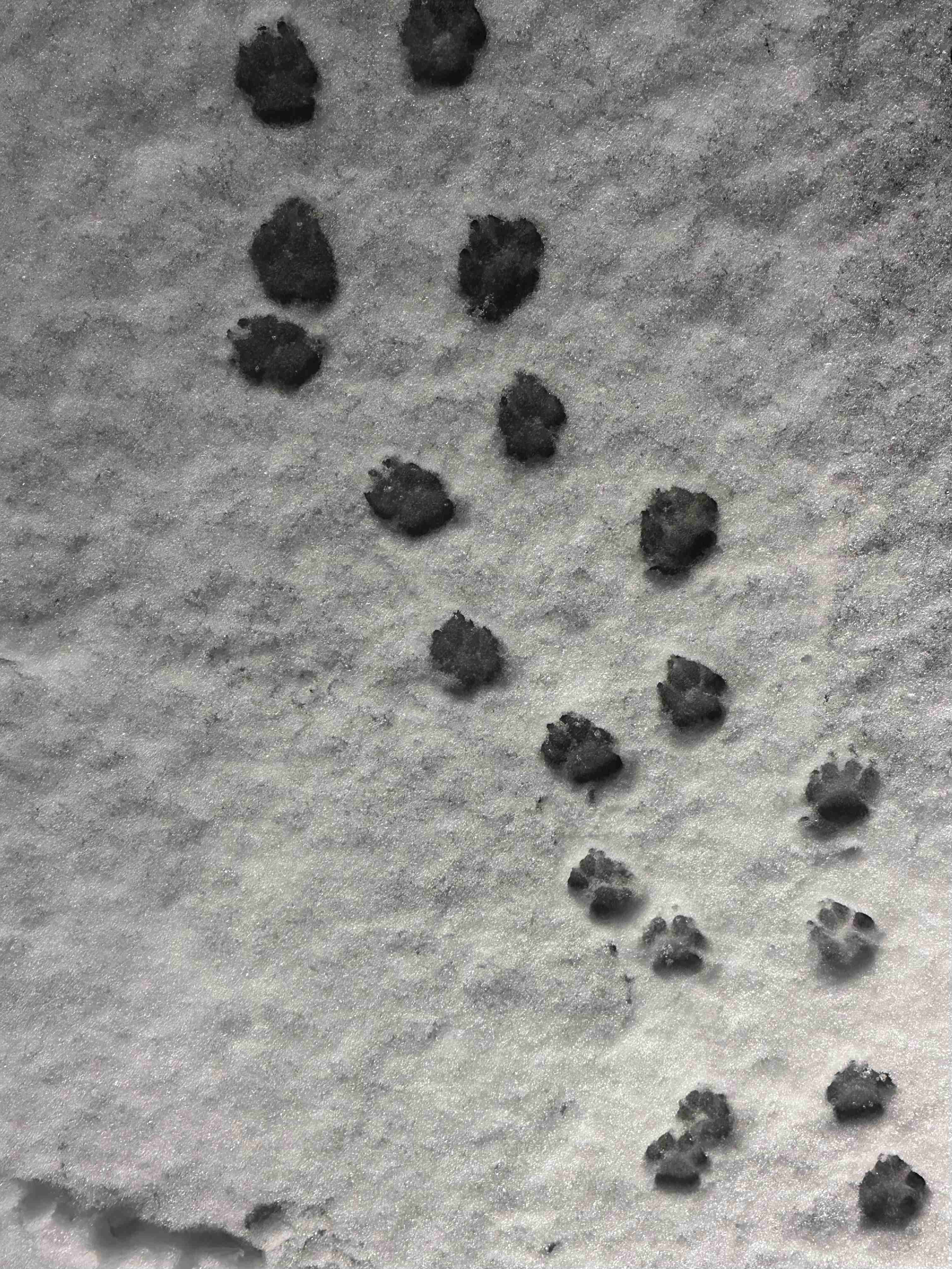 可愛い写真撮ったよ～