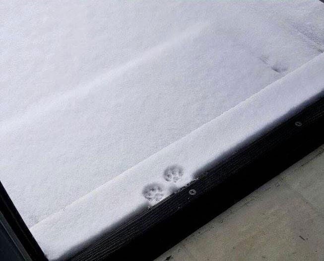 可愛い写真撮ったよ～