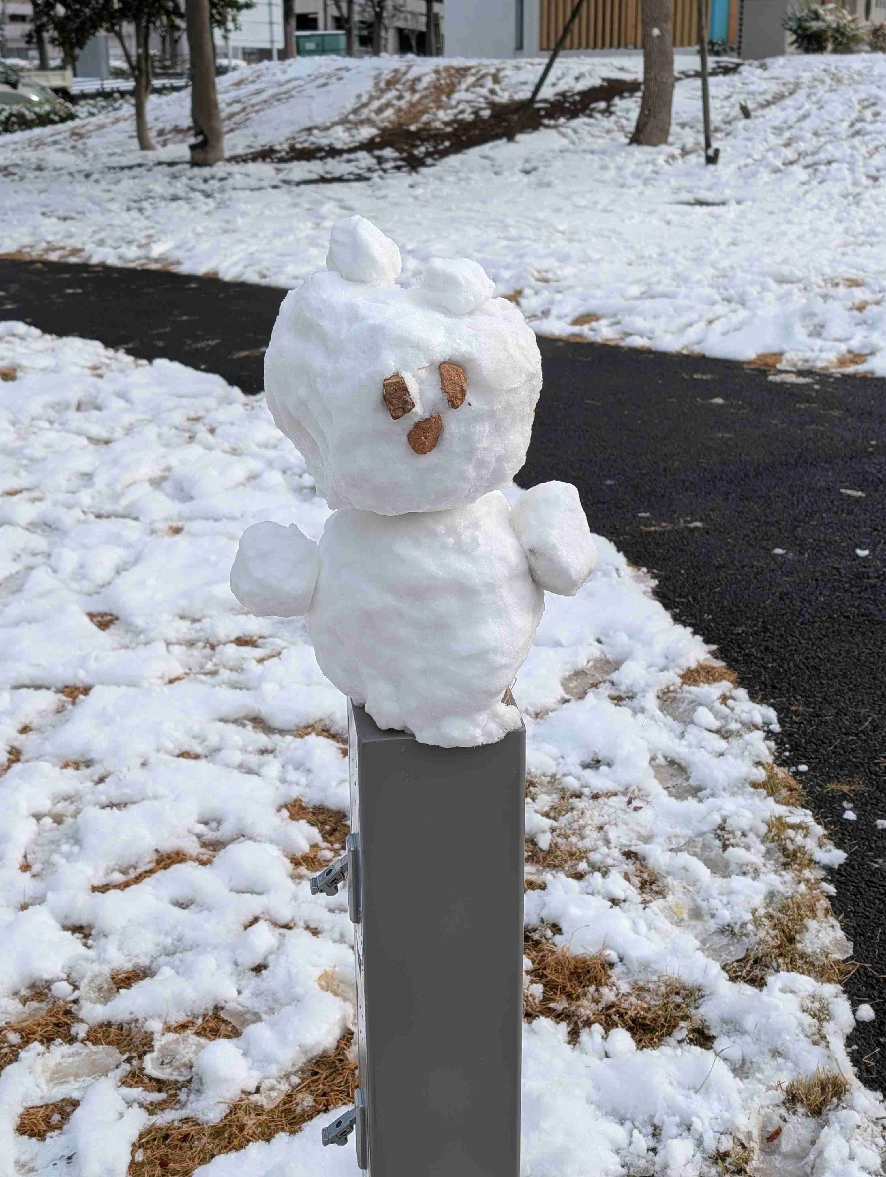 可愛い写真撮ったよ～