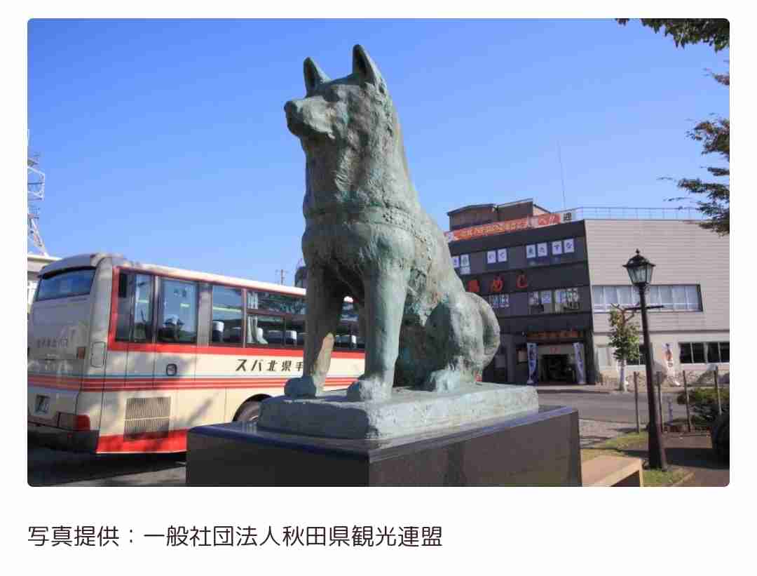 可愛い写真撮ったよ～