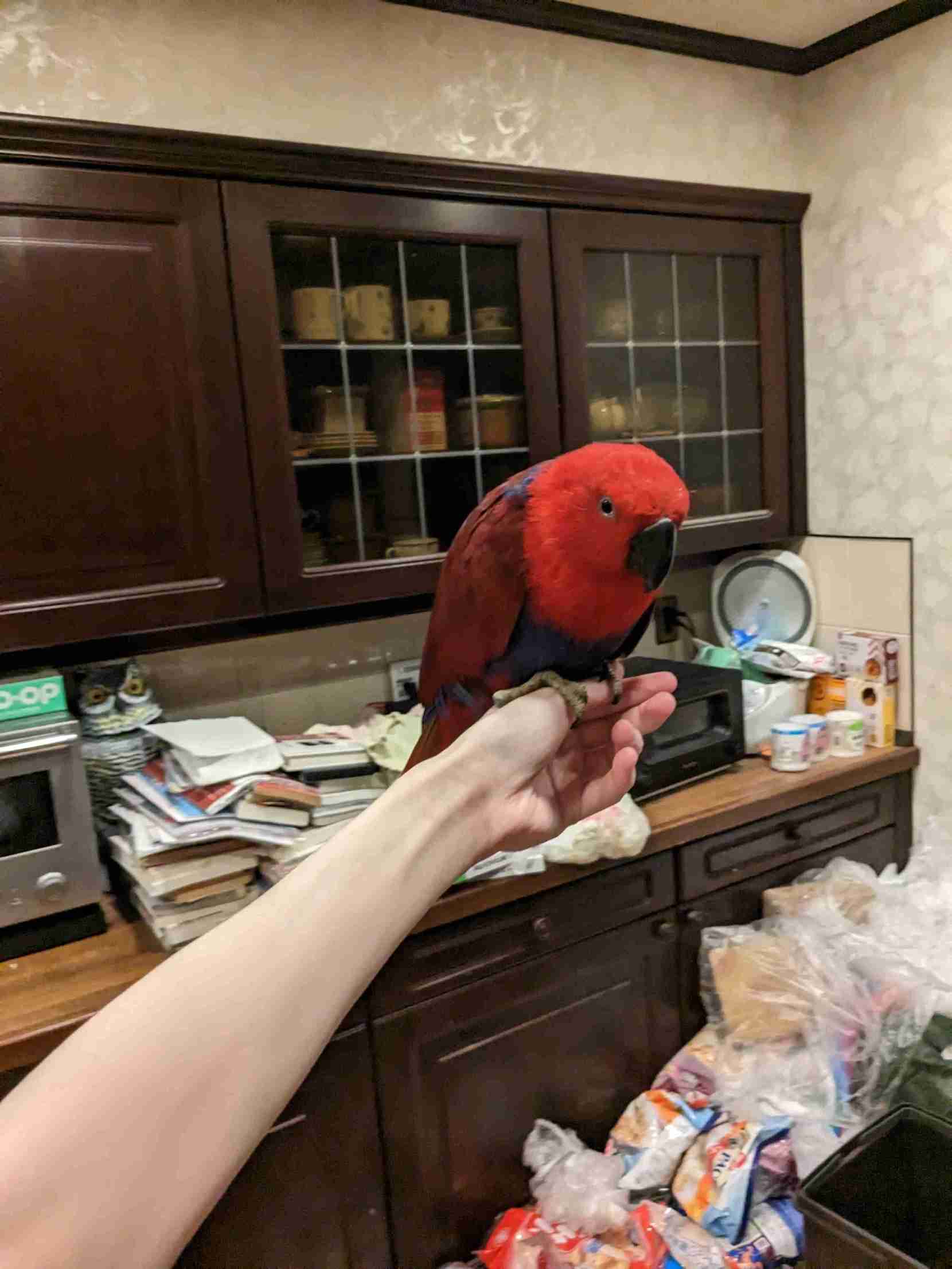 可愛い写真撮ったよ～