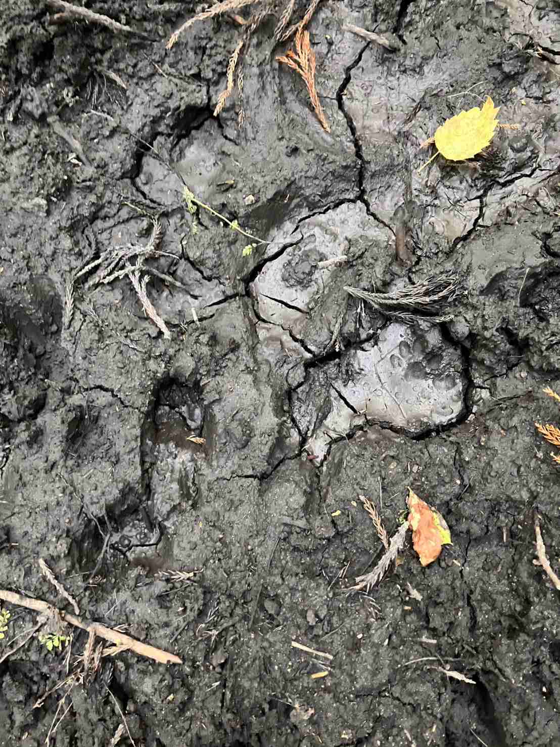 可愛い写真撮ったよ～