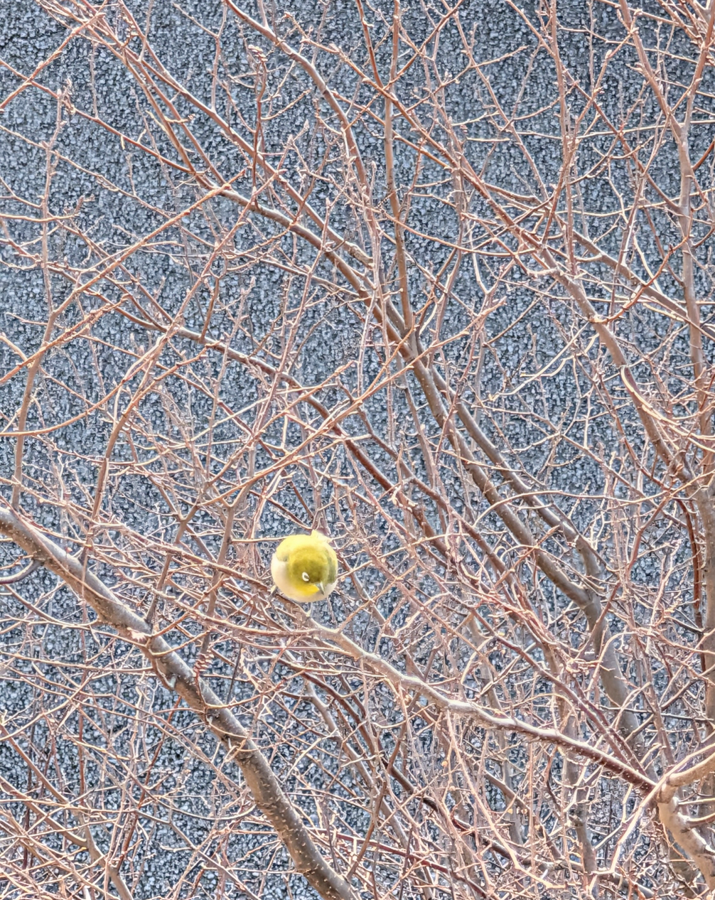 可愛い写真撮ったよ～