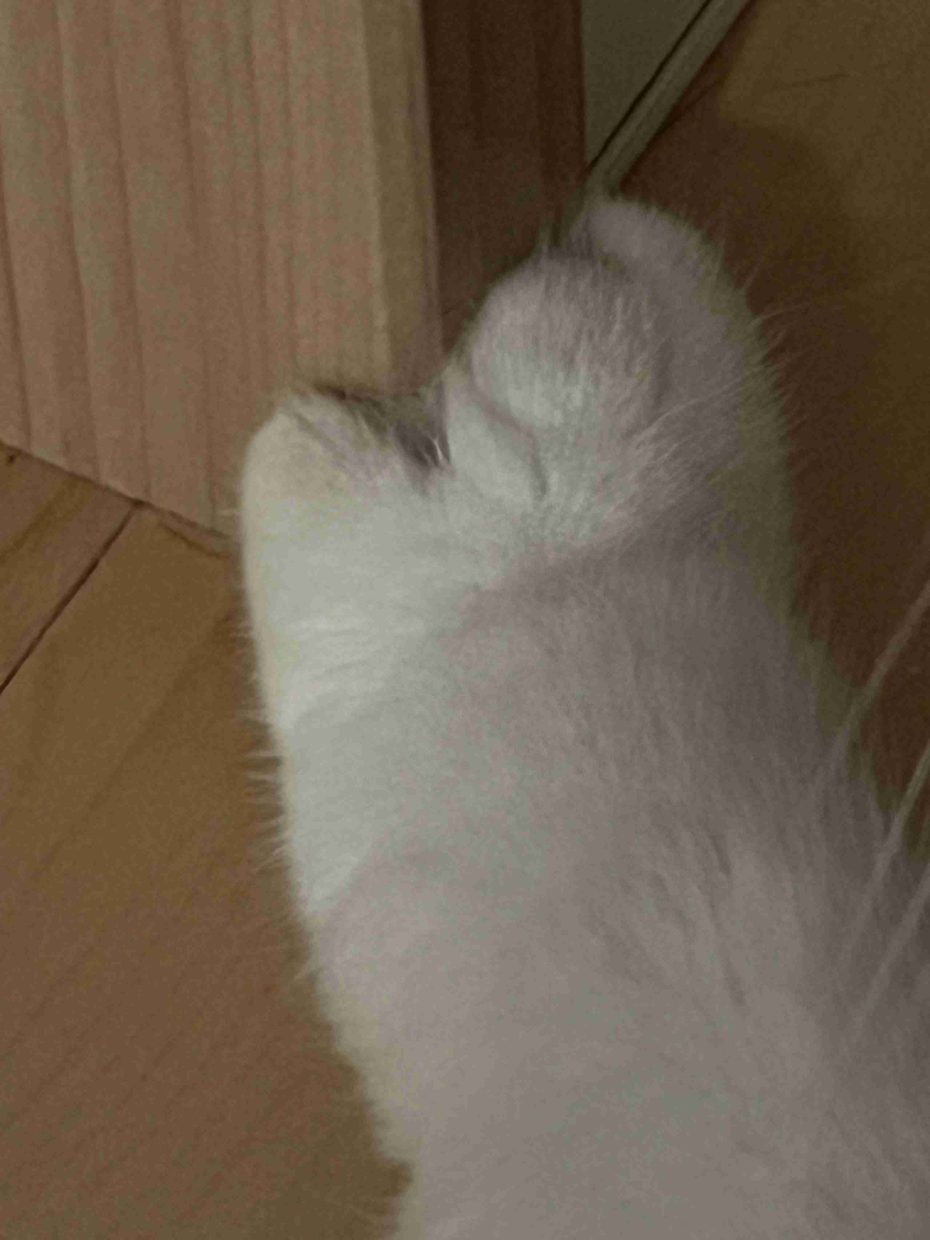 可愛い写真撮ったよ～