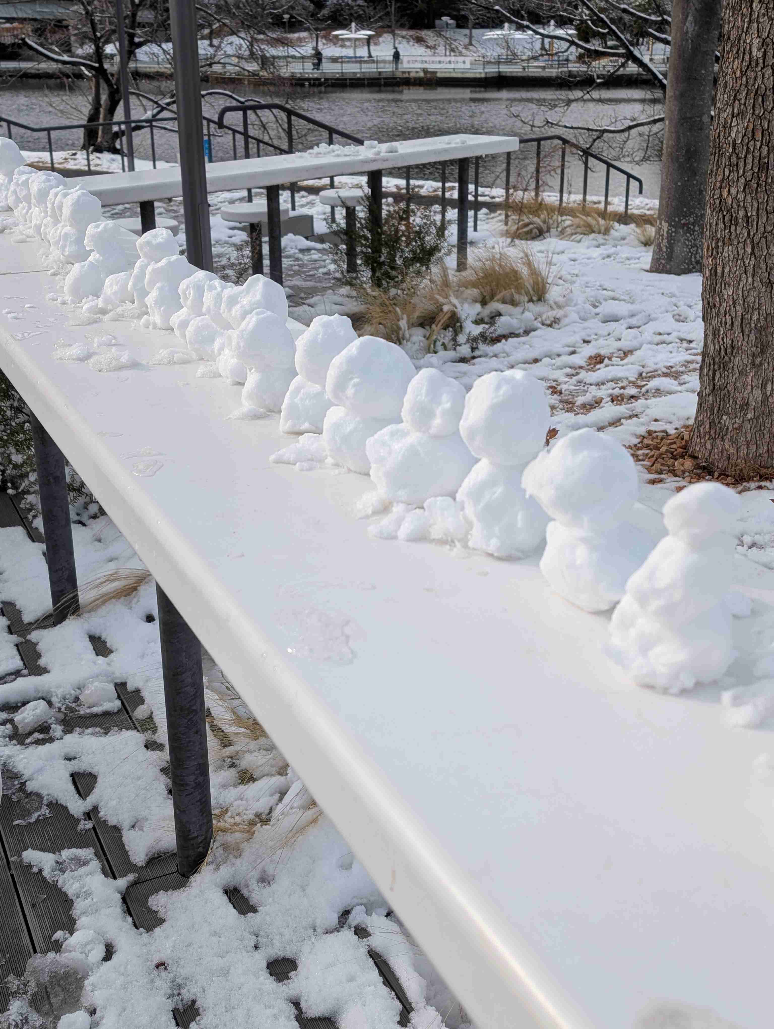 可愛い写真撮ったよ～