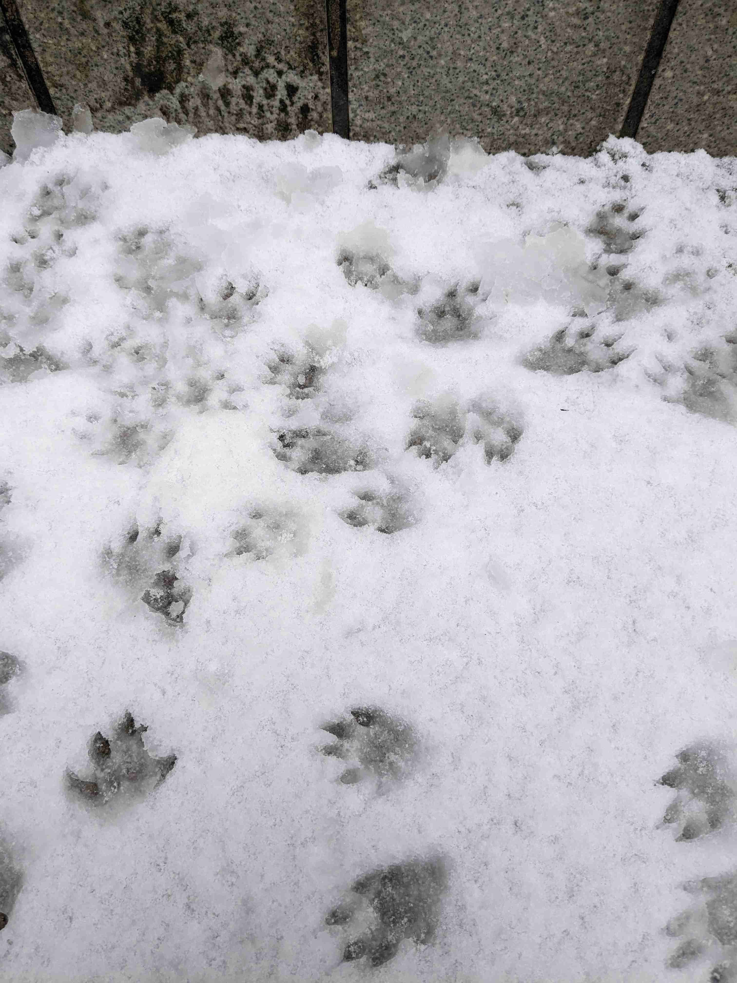 可愛い写真撮ったよ～