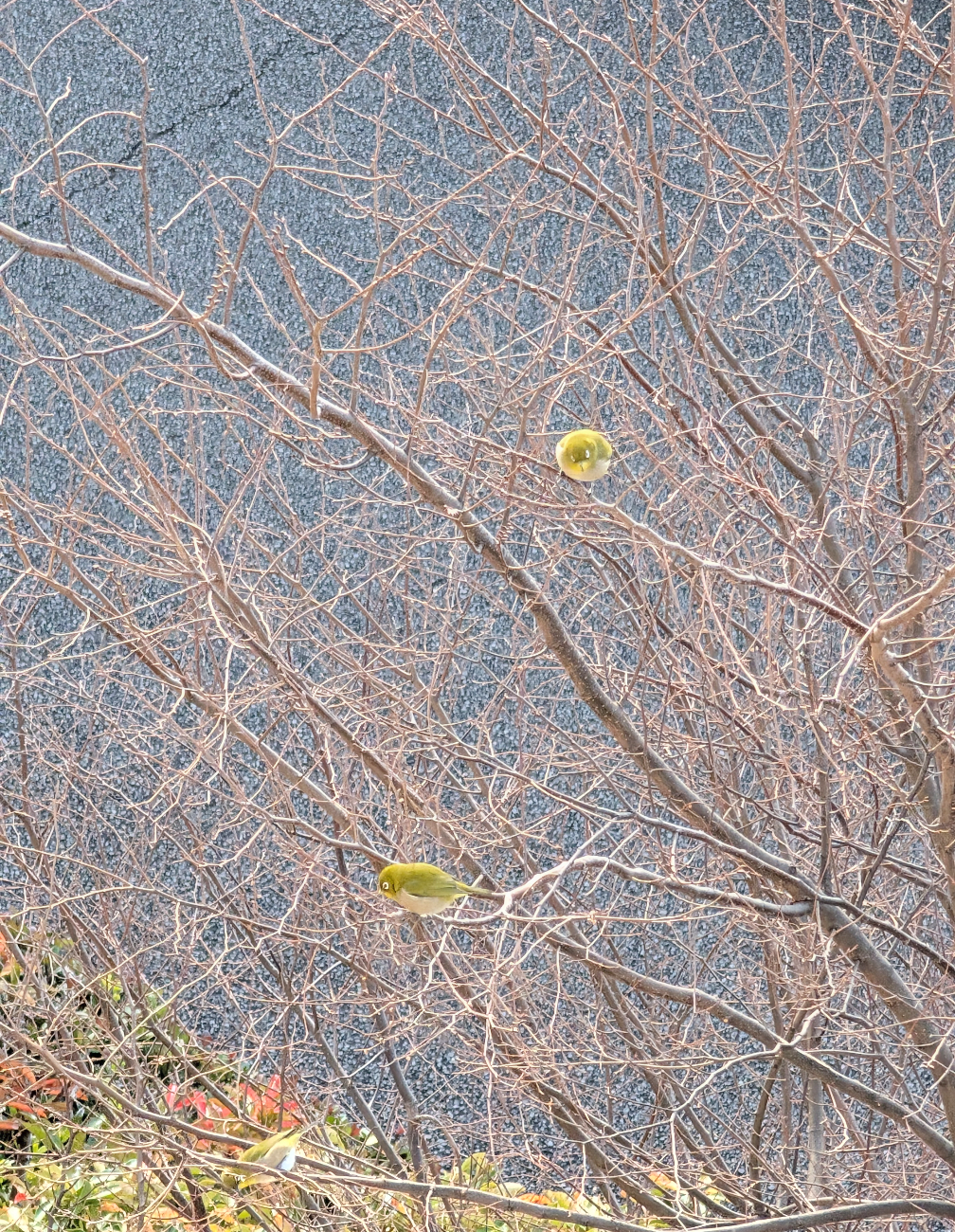 可愛い写真撮ったよ～