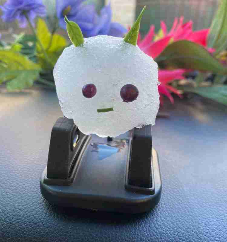 可愛い写真撮ったよ～