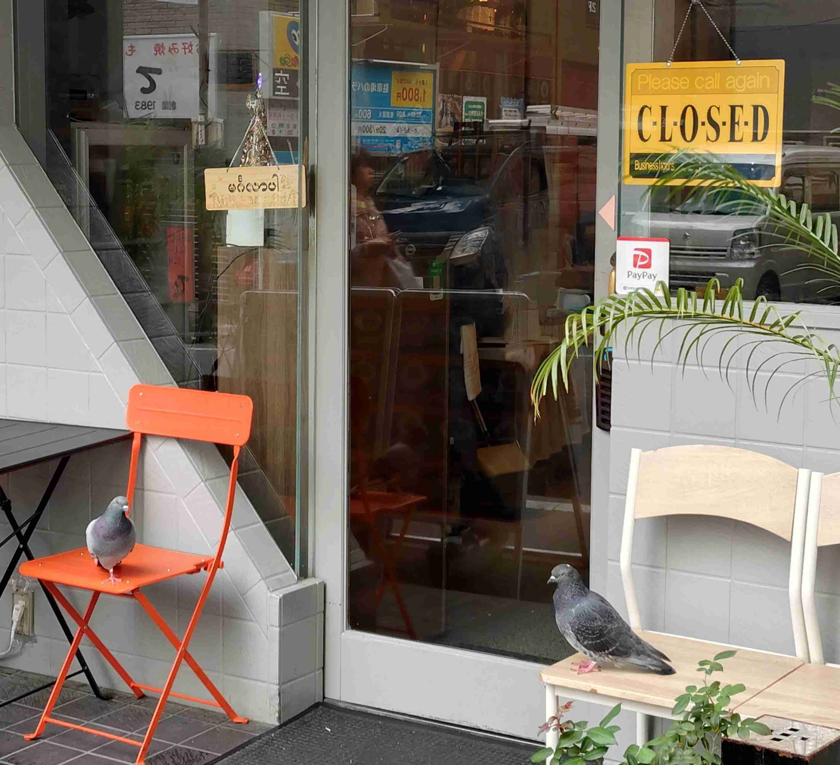 可愛い写真撮ったよ～