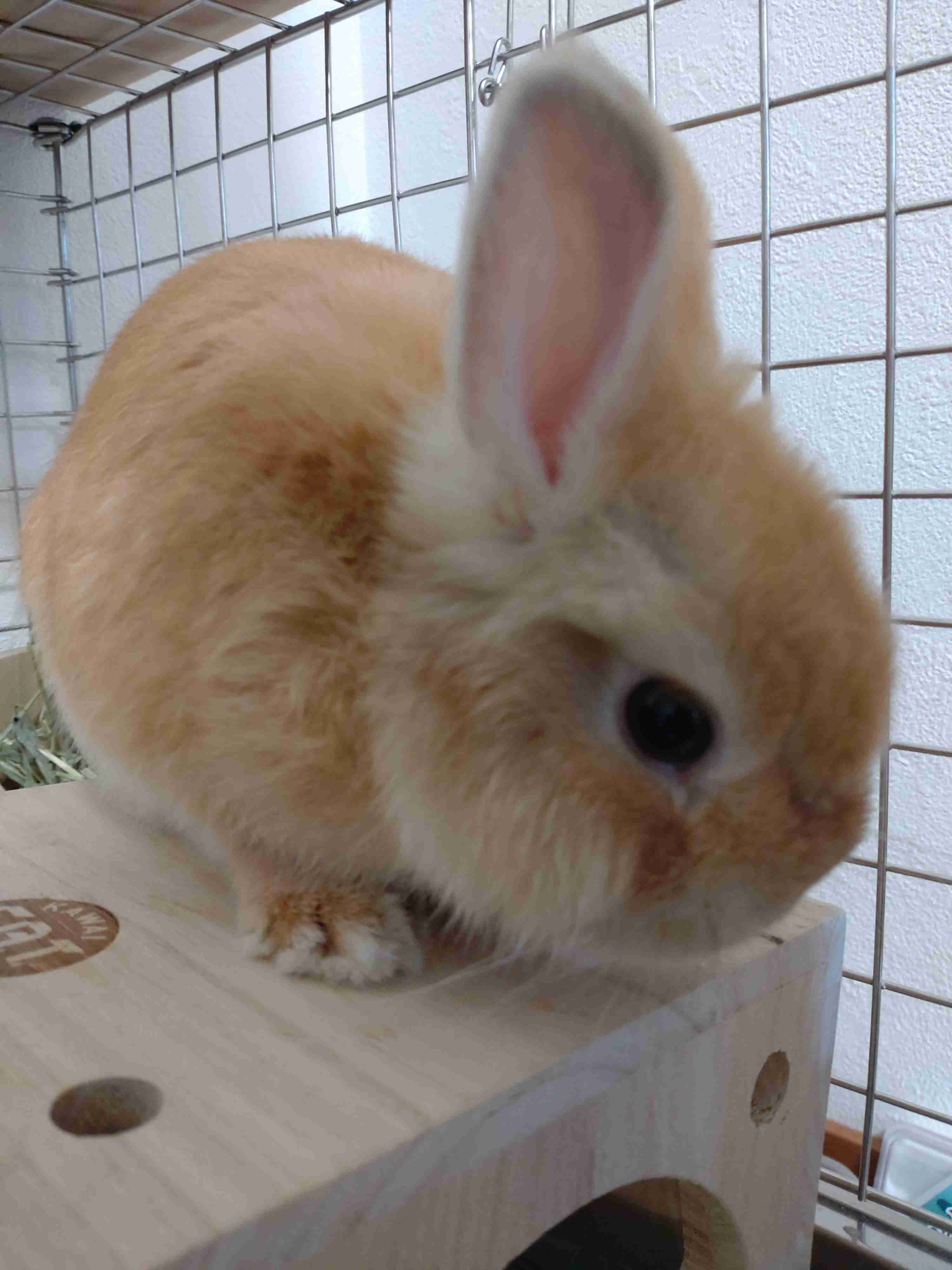 可愛い写真撮ったよ～