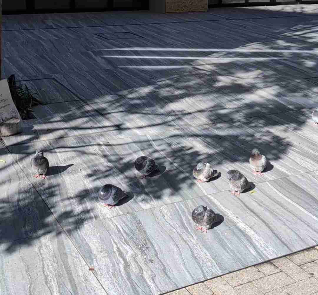 可愛い写真撮ったよ～