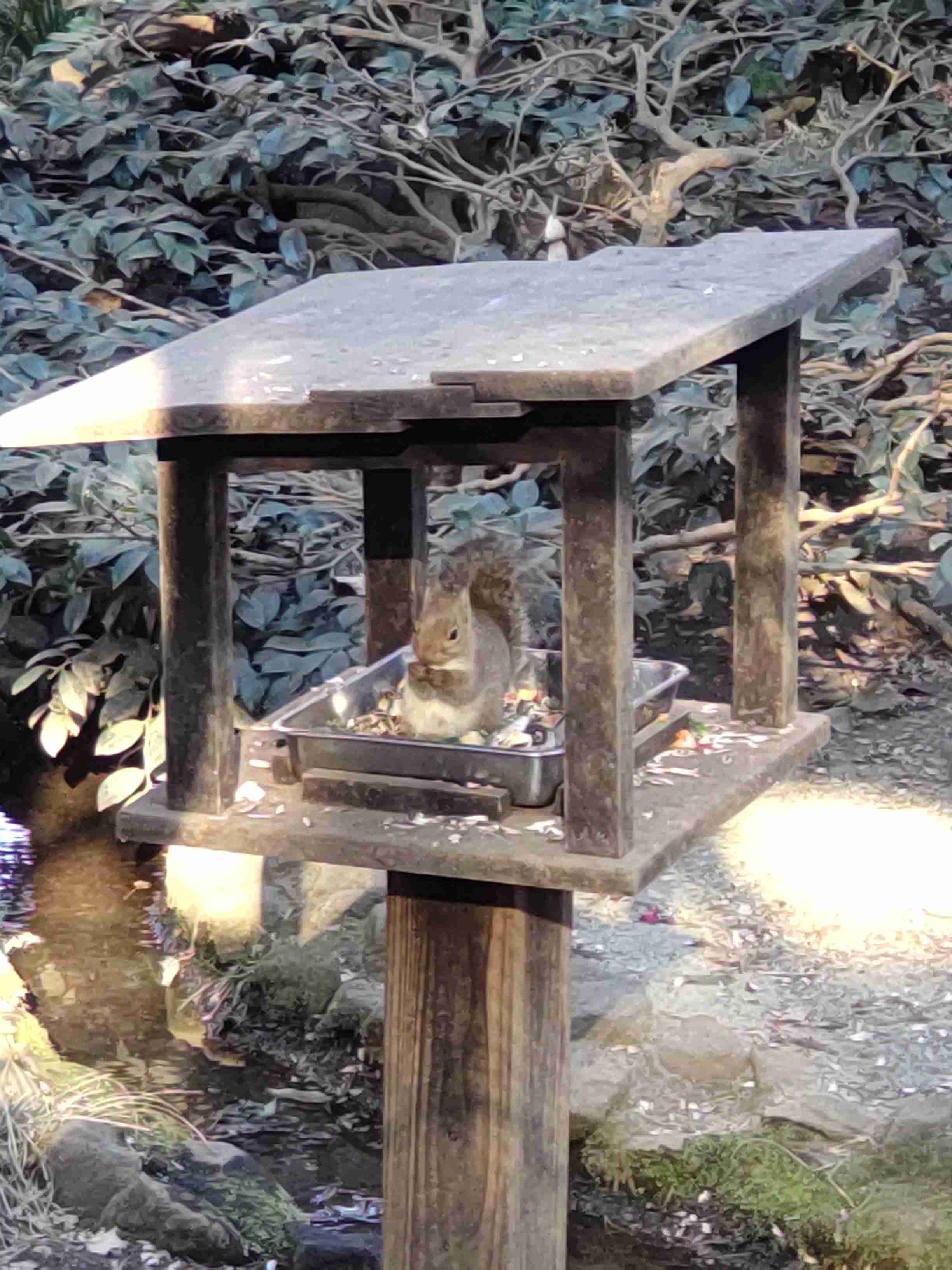 可愛い写真撮ったよ～