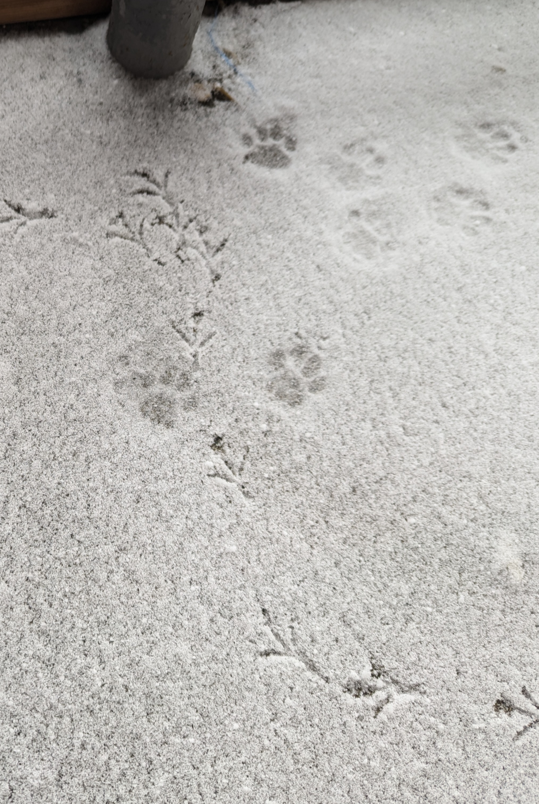 可愛い写真撮ったよ～