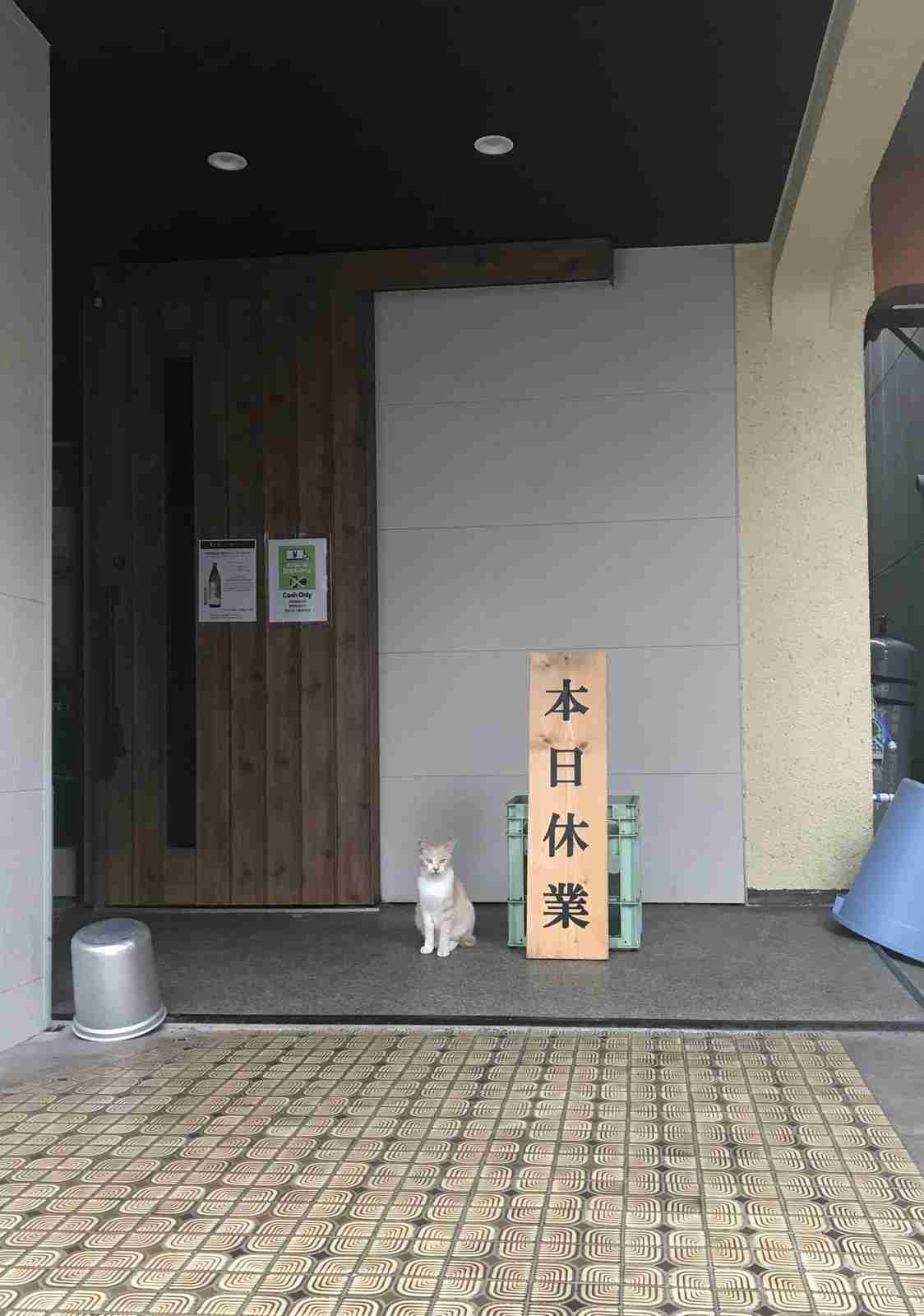 可愛い写真撮ったよ～