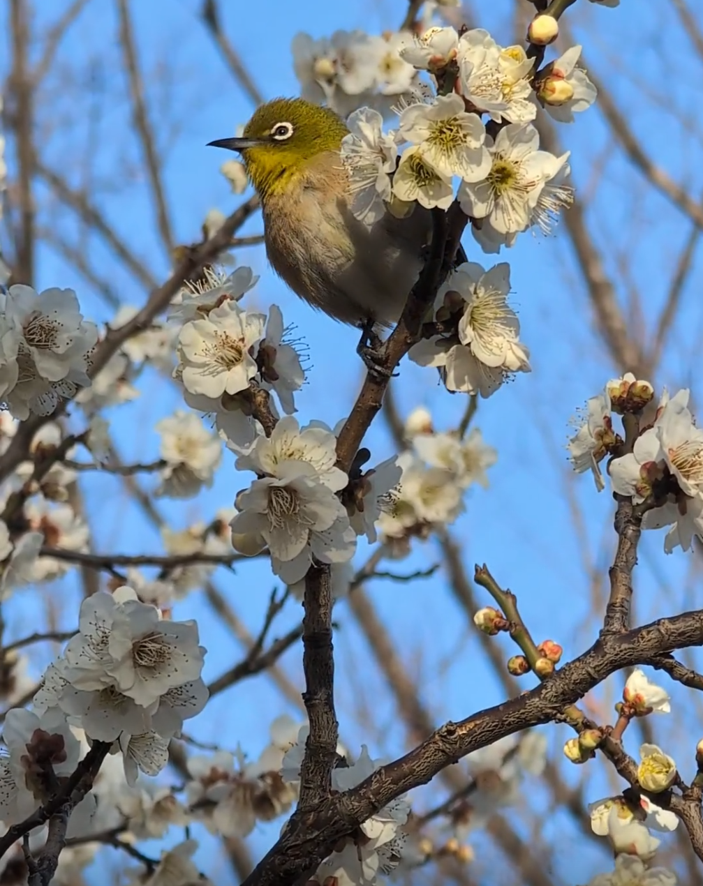 可愛い写真撮ったよ～