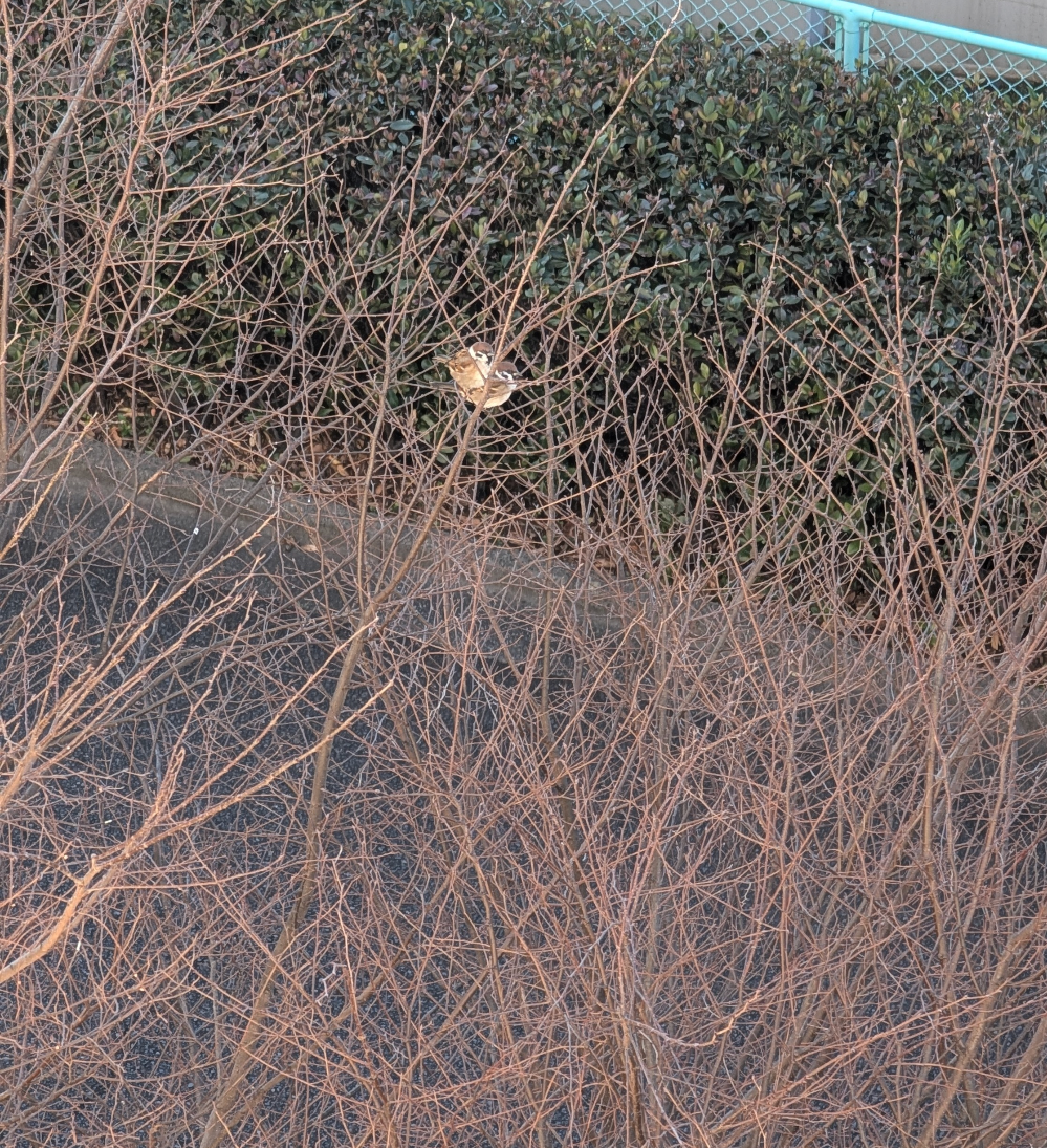 可愛い写真撮ったよ～