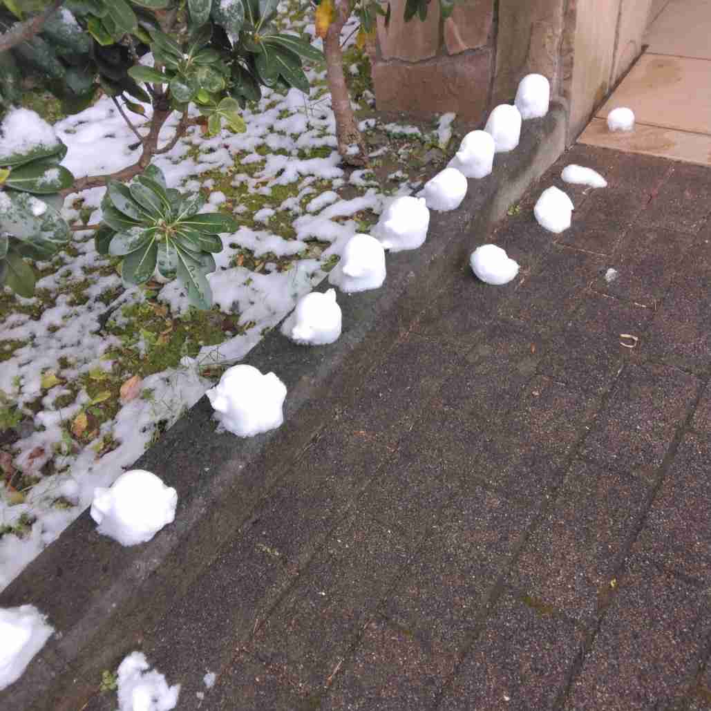 可愛い写真撮ったよ～